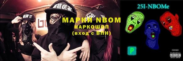 индика Переславль-Залесский
