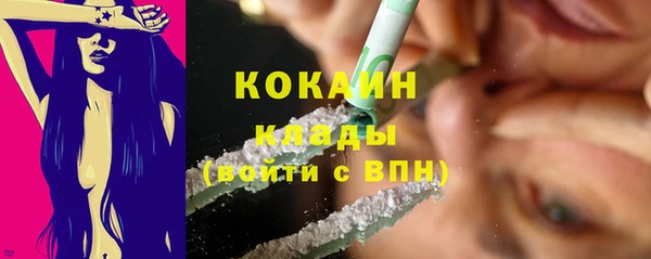 кокс Дмитриев