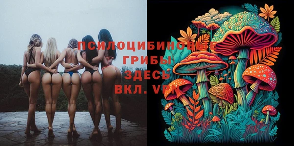 mix Пересвет