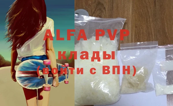 индика Переславль-Залесский